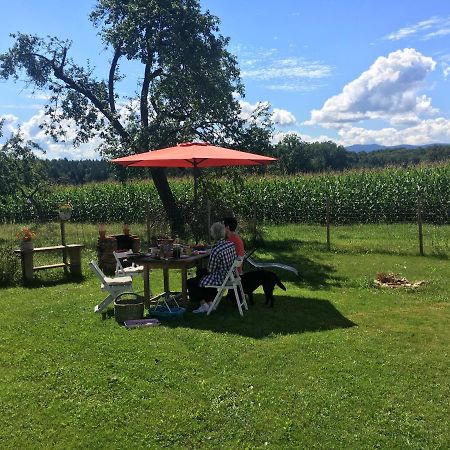 Kellerstoeckl Am Veganen Bio-Lebenshof "Varm - Die Vegane Farm" Sulb 外观 照片