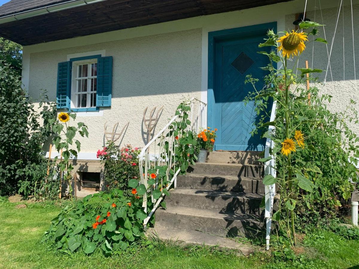 Kellerstoeckl Am Veganen Bio-Lebenshof "Varm - Die Vegane Farm" Sulb 外观 照片