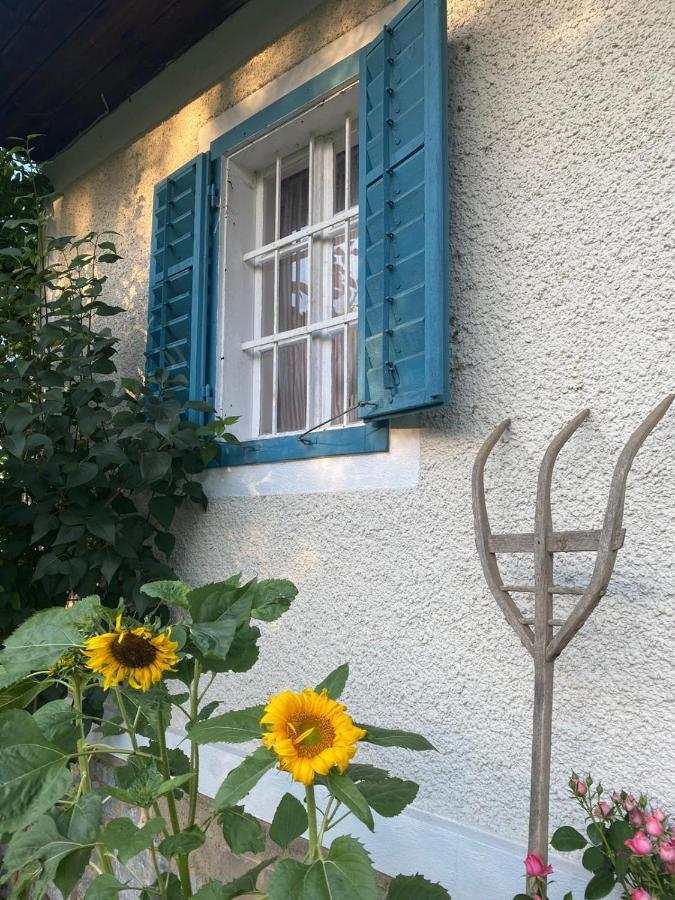 Kellerstoeckl Am Veganen Bio-Lebenshof "Varm - Die Vegane Farm" Sulb 外观 照片
