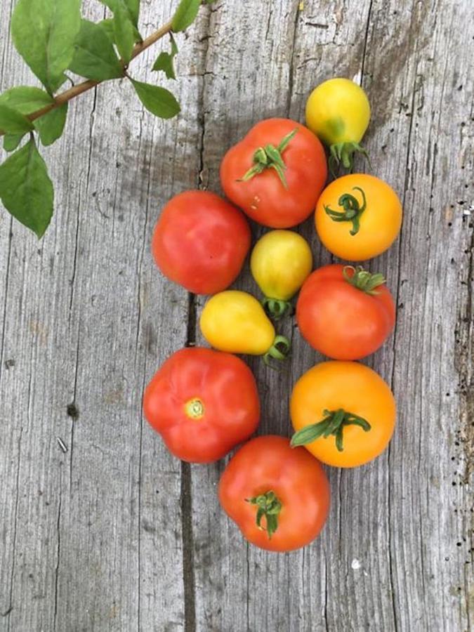 Kellerstoeckl Am Veganen Bio-Lebenshof "Varm - Die Vegane Farm" Sulb 外观 照片