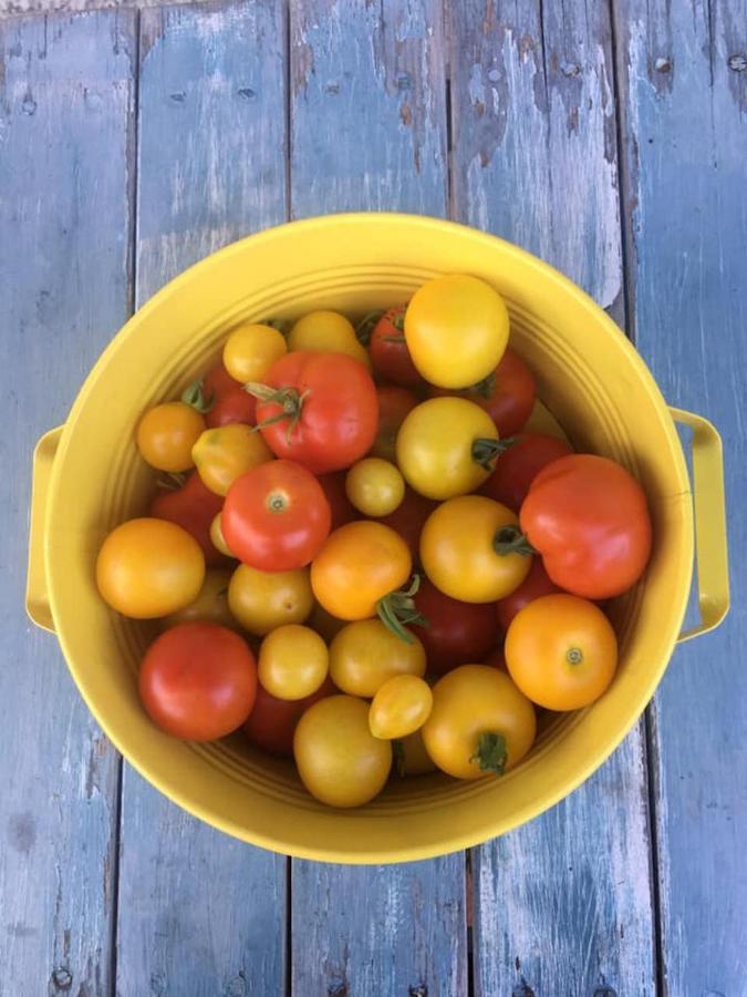 Kellerstoeckl Am Veganen Bio-Lebenshof "Varm - Die Vegane Farm" Sulb 外观 照片