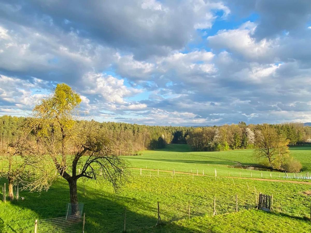Kellerstoeckl Am Veganen Bio-Lebenshof "Varm - Die Vegane Farm" Sulb 外观 照片