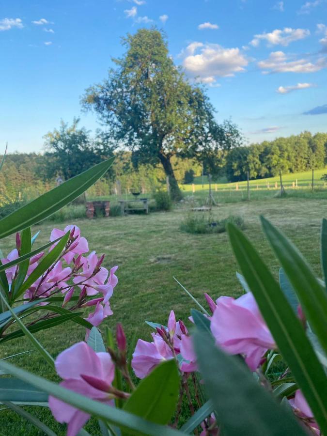 Kellerstoeckl Am Veganen Bio-Lebenshof "Varm - Die Vegane Farm" Sulb 外观 照片